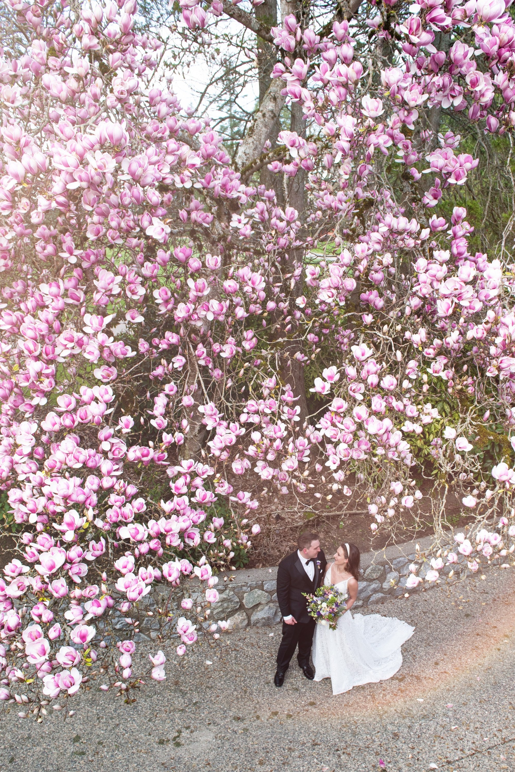 carousel-hero-element image-3