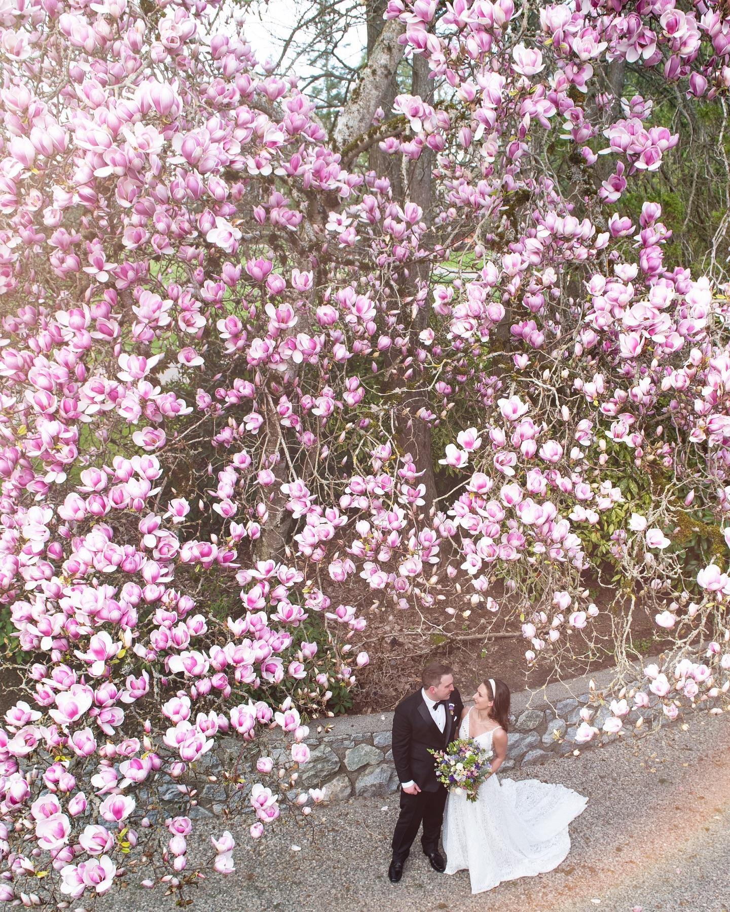Spring Wedding Photography: A Blossoming Love Story